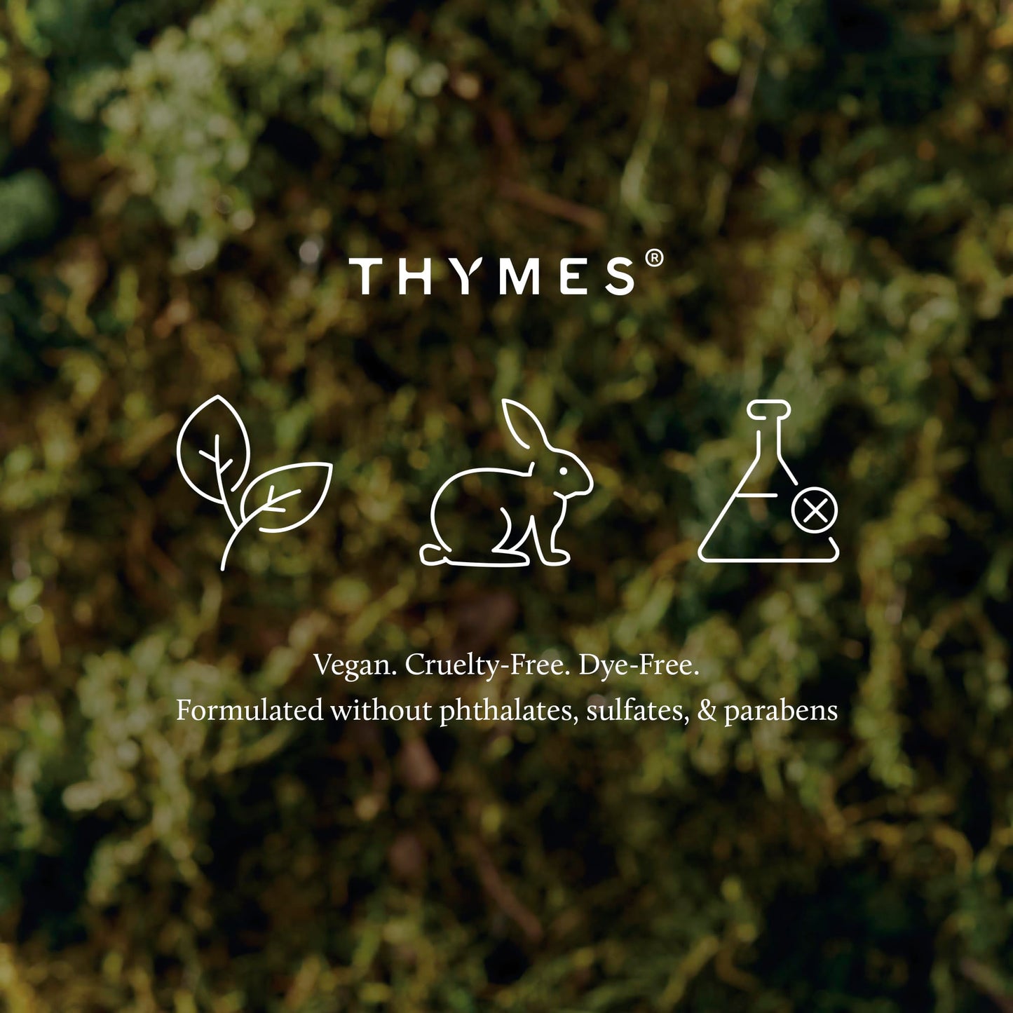 Thymes Scented Candles for Women & Men – Tin with Lid – Luxury Home Decor – Citronella Candles with Notes of Olive Leaf, Lemongrass, & Gardenia – Outdoor Decor (Citronella Grove, 6.5 oz)
