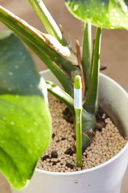 SUStee Watering Indicator for plants (Set of 5) - Smart Watering for All Plants, Works in All Soils | Minimalistic Design, Easy-to-Use, No Batteries | 100% Made in Japan (Green, Medium)