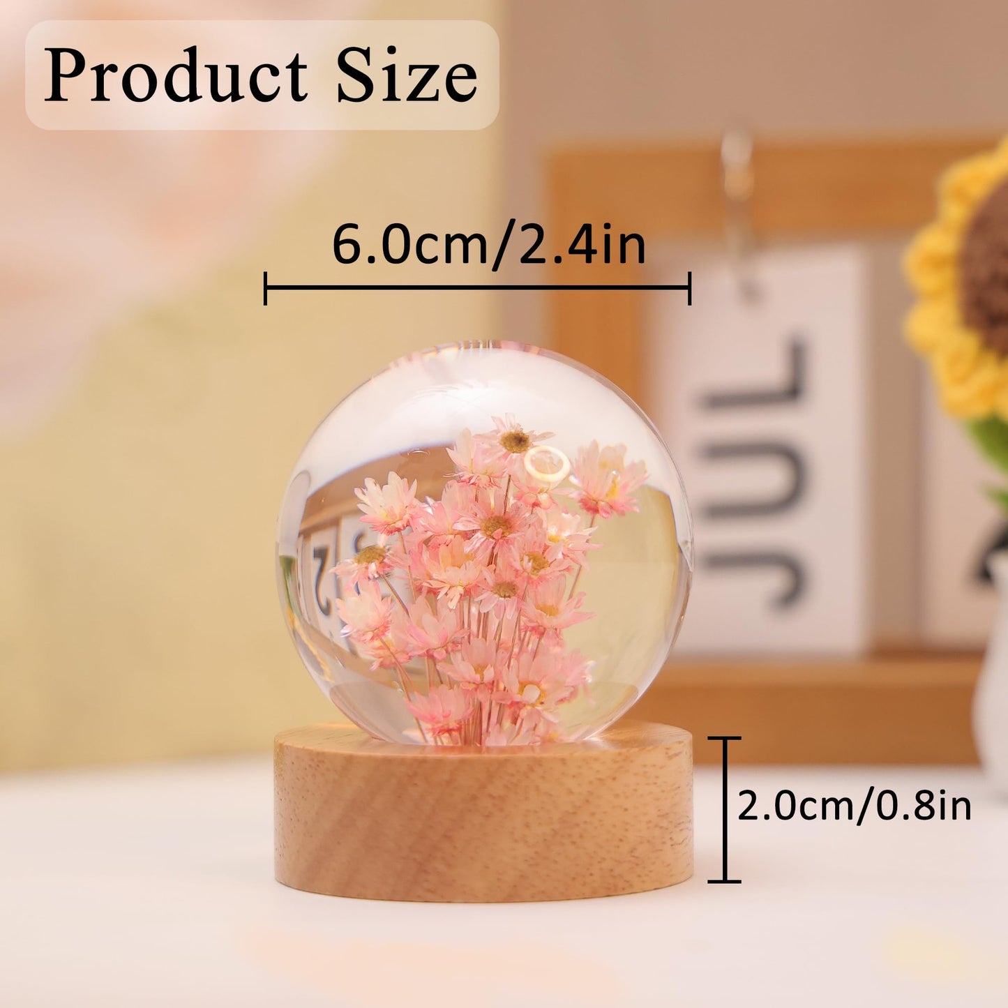 Daisy Decor Gifts,Daisy Flower Lamp Crystal Ball Night Light,2.4 Inch Glass Ball Lamp with LED Wooden Base,Soft Warm White Lighting for Women Best Friends Sister Birthday Xmas Aesthetic Gift(Red)