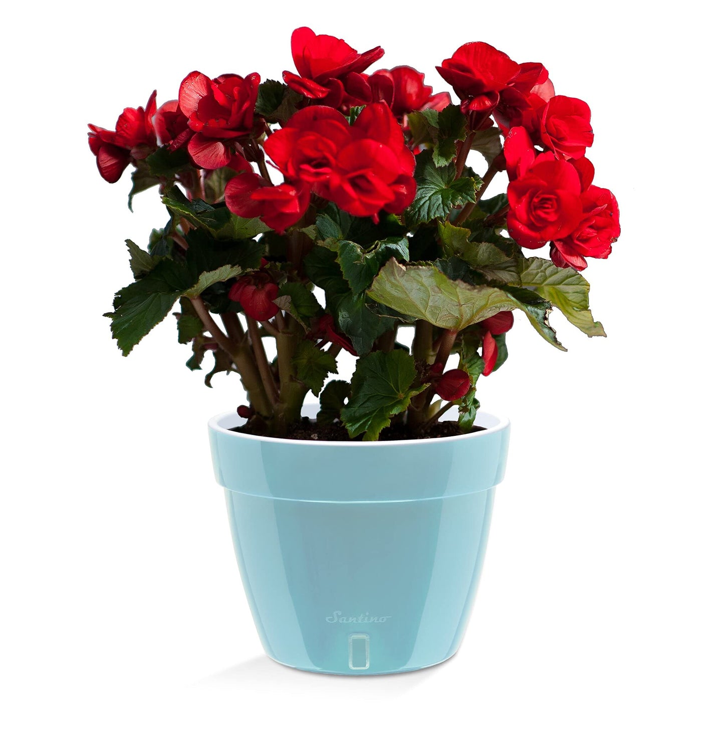 Santino ASTI 9.2 Inch Self Watering Planter Menthol/White for Indoor Plants - Premium Quality Modern Plastic Pot w/Water Level Indicator for All House Herbs, Plants, African Violets and Dahlias