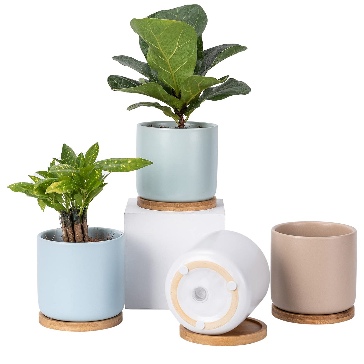 OMAYKEY Succulent Pots, 4 Inch Ceramic Planter Plant Pot with Tray, Drainage Hole & Mesh Pad for Indoor Flowers, Cactus, Herbs, Aloes - Cool Multicolor, Set of 4 (Plant Not Included)