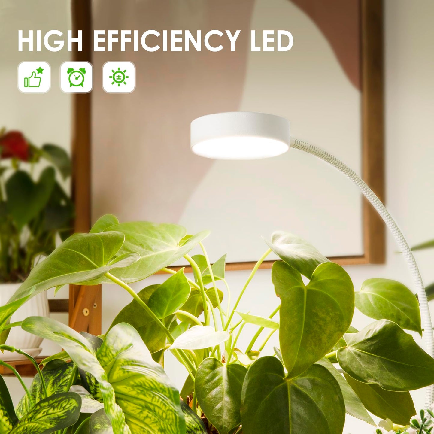 LORDEM Small Pot Clip Grow Light, Full Spectrum LED Plant Grow Lamp for Indoor Growing, Auto On/Off Timer 4/8/12H, Plant Light with 4 Dimmable Brightness Levels, Ideal for Small Indoor Plants, 2 Pack