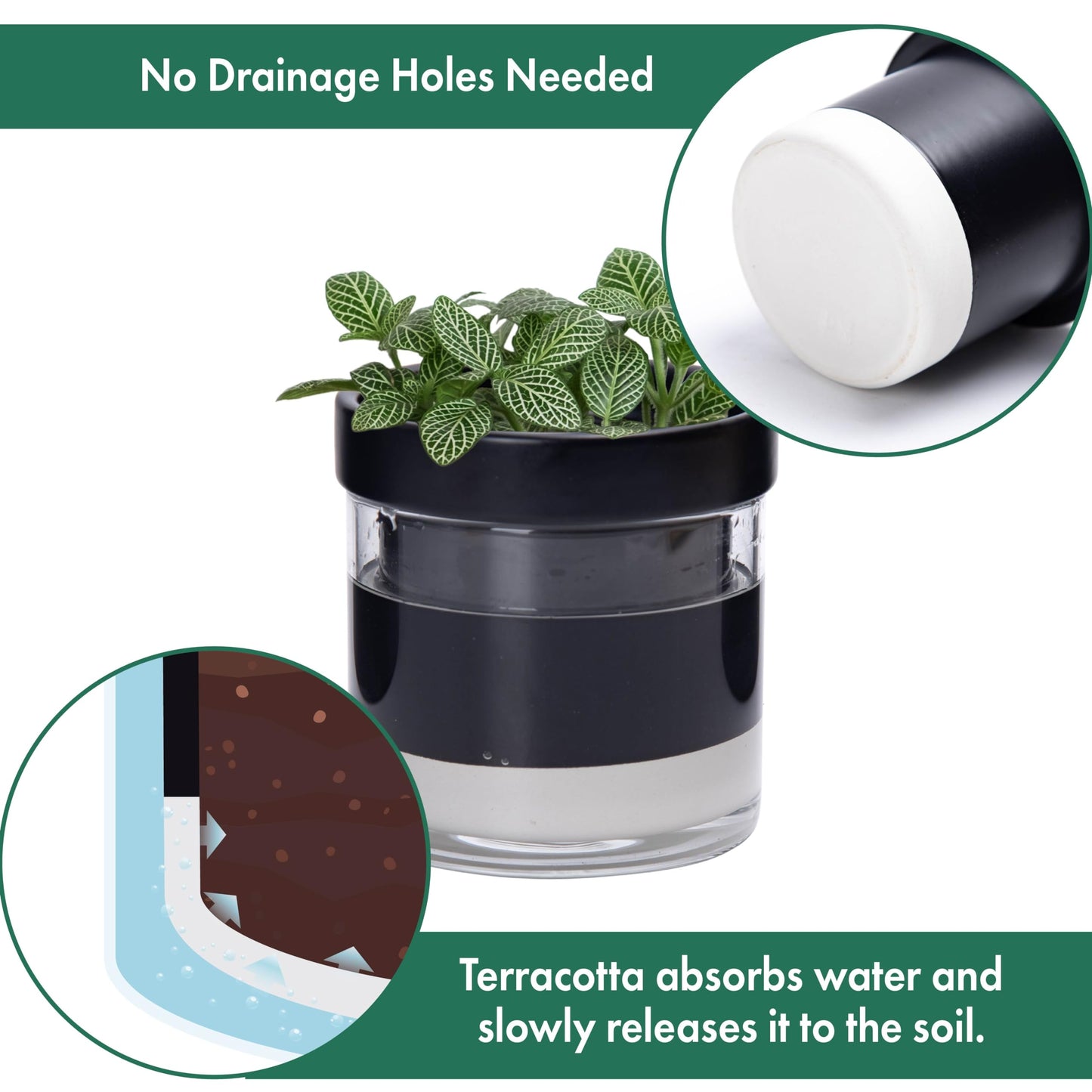 Phoenix Vine 4 Inch Self Watering Terracotta Planter, Black Terracotta Clay Pot with Glass Reservoir for Indoor Plants, Herbs, Flowers, Set of 1, 52-C-E-1