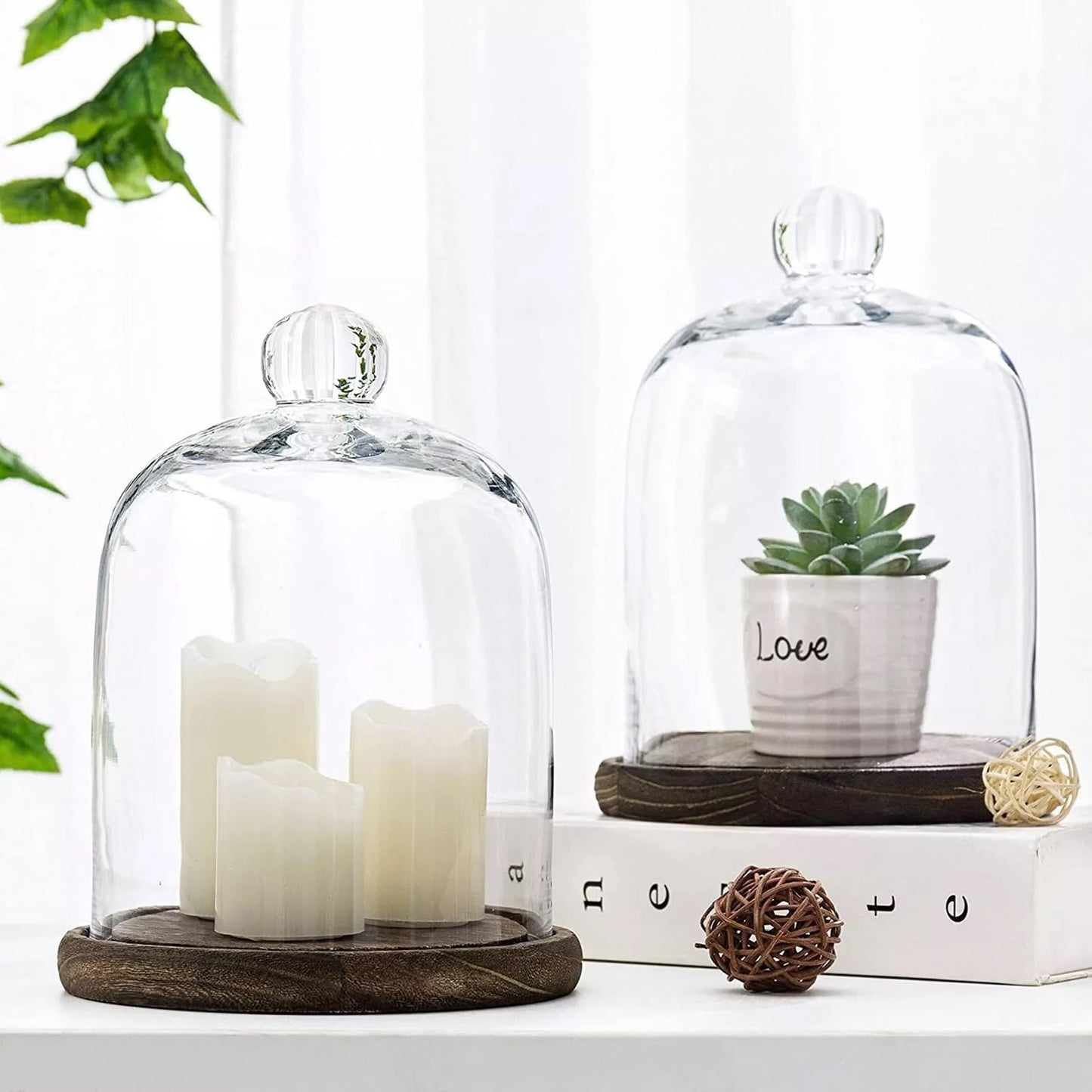 PCYMYN Glass Cloche Dome Bell Jar Display Case with Small Ball Top and Wooden Base for Plant,Collectibles (Medium:4.7 * 6.3 inches)