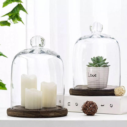 PCYMYN Glass Cloche Dome Bell Jar Display Case with Small Ball Top and Wooden Base for Plant,Collectibles (Medium:4.7 * 6.3 inches)