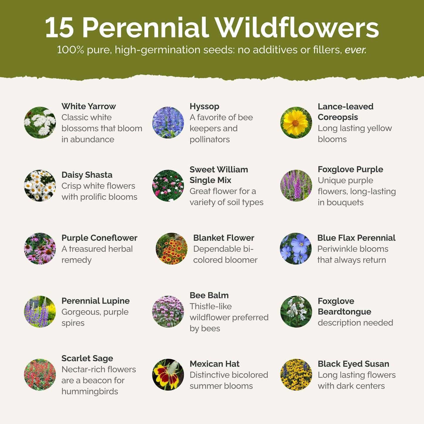 Eden Brothers Deer Resistant All Perennial Wildflower Mixed Seeds for Planting, 5 lb, 2,400,000+ Seeds with Sweet William | Attracts Pollinators, Plant in Spring or Fall, Zones 3, 4, 5, 6, 7, 8, 9, 10