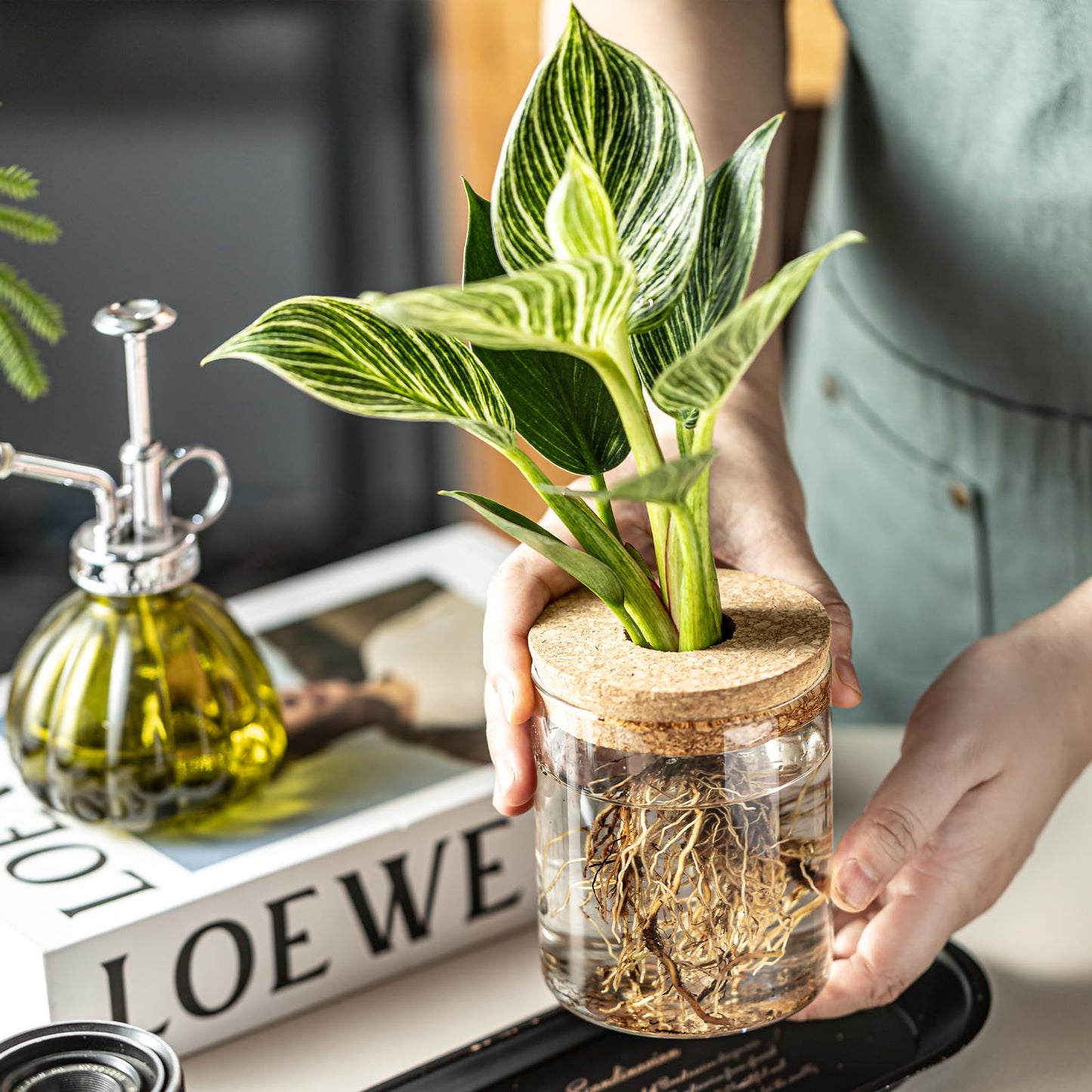 CHPINDAM Glass Propagation Stations for Plants -Desktop Flower Vases,Propagation Flower Vases Set – 2 Large & 2 Small for Plant Cuttings，for Living Room, Bedroom Decoration,Home,Office Decor (4)