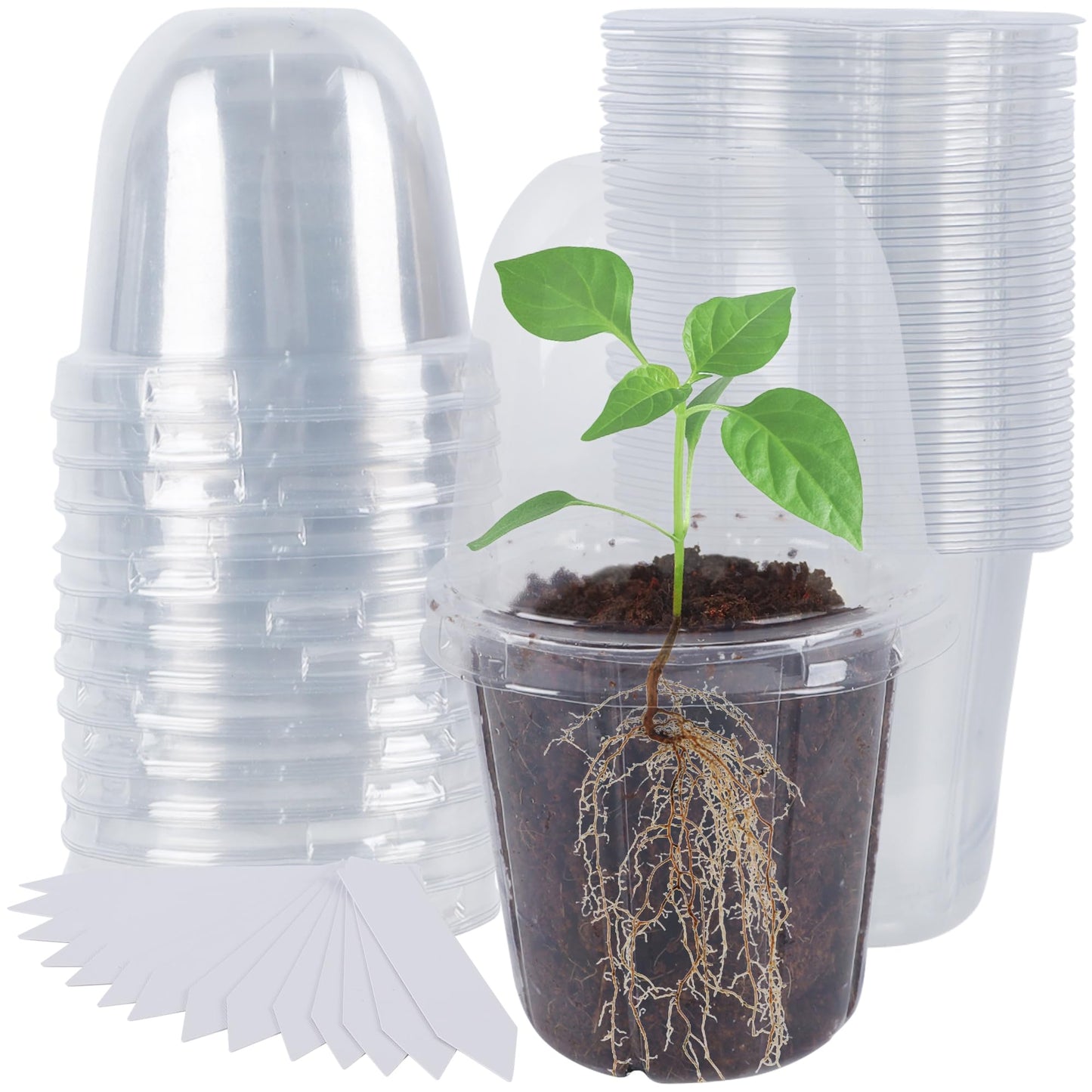 winemana 36 Set Nursery Pots with Humidity Dome, Clear Nursery Pots for Plants, Seed Starting Pots with Drainage Holes & Plant Labels for Vegetables Flowers Garden Plants
