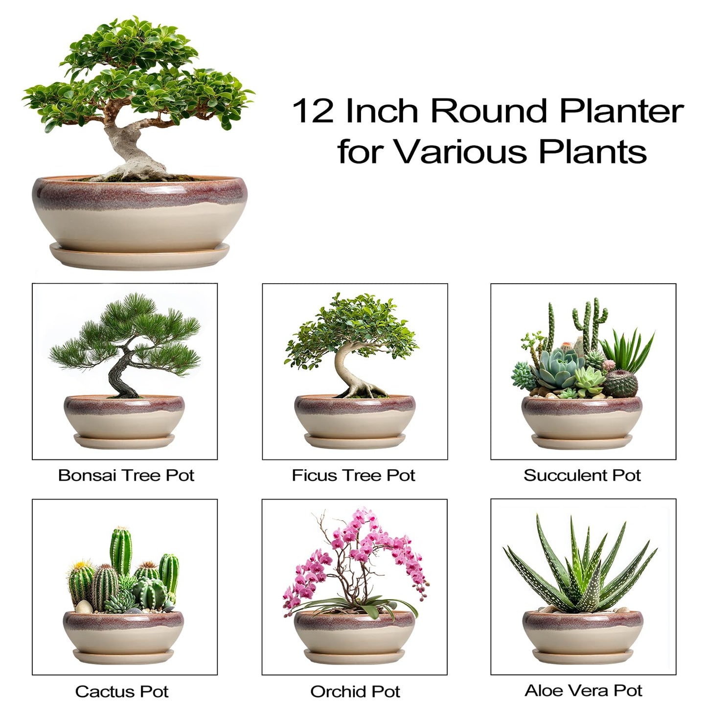 SQOWL Bonsai Pots 12 Inch - Large Ceramic Succulent Planters, Shallow Planter with Drainage Hole and Saucer, Round Bowl Planter for Indoor Outdoor Plants, Home Decor, Plant Lover Gifts, Beige
