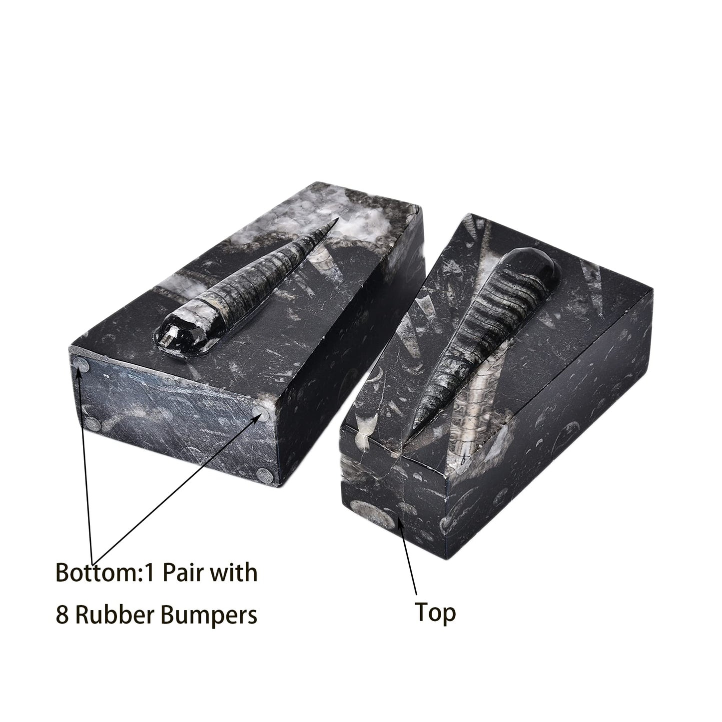 JIC Gem Natural Orthoceras Fossil Bookends-Black Fossilized Wedge Shaped Bookends with Rubber Bumpers for Office and Home Decoration Frome Morocco （1 Pair 4-5lbs ）