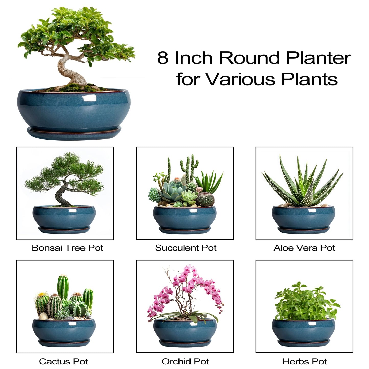 SQOWL Bonsai Pots - 8 Inch Ceramic Succulent Pots with Drainage Hole and Saucer, Round Shallow Planter for Indoor Outdoor Plants Flowers, Ceramic Planter Bowl, Room Decor, Gardening Gifts, Blue