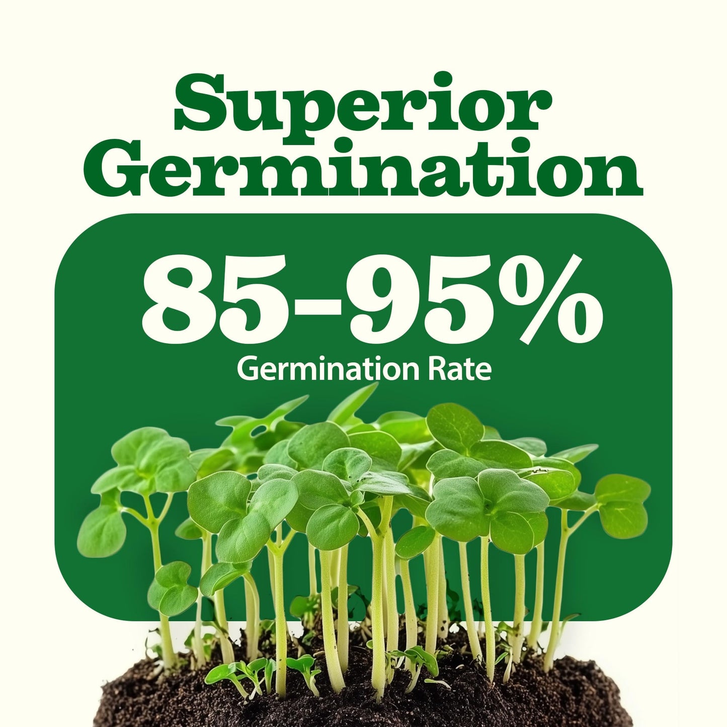 32 Heirloom Vegetable and Fruit Seeds for Planting - 16,000+ Seeds | Non-GMO Survival Seed Vault | High Germination | 32 Varieties of Vegetable Seeds for Your Home Survival Garden