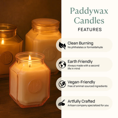 Paddywax Botanica Scented Candle with Lid in Reusable Embossed Glass Jar, Clean-Burn Soy Candle with Approx. 56 Hour Burn Time, Leather & Smoke, 8 oz