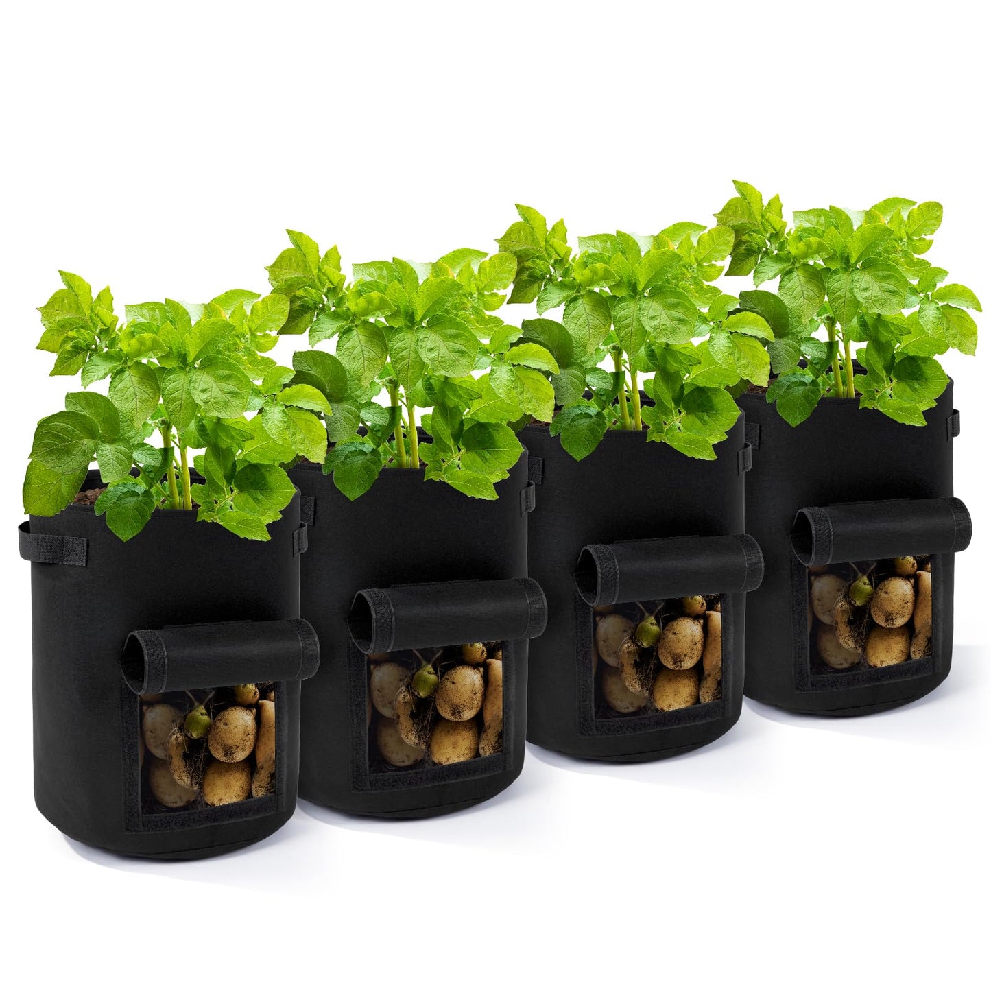Backyard Expressions 10-Gallon Potato Grow Bags – Set of 4 Fabric Planter Bag with Harvest Window & Handles – Reusable, Breathable, Durable for Vegetables, Herbs & Root Crops