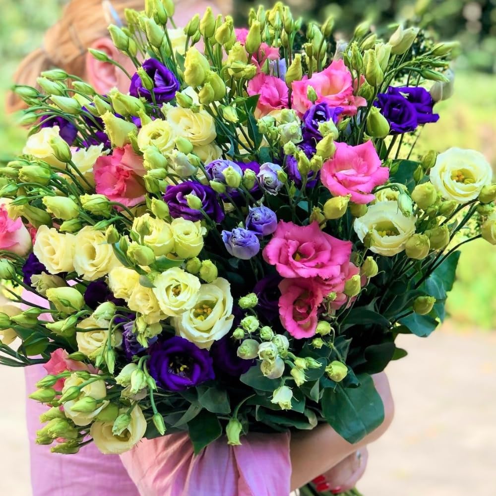 2 Eustoma Lisianthus Live Plants, Lisianthus Flowers Seedlings, 2-3 Inch Tall Well-Rooted Plug, Lisianthus Plants (Mix Lisianthus)