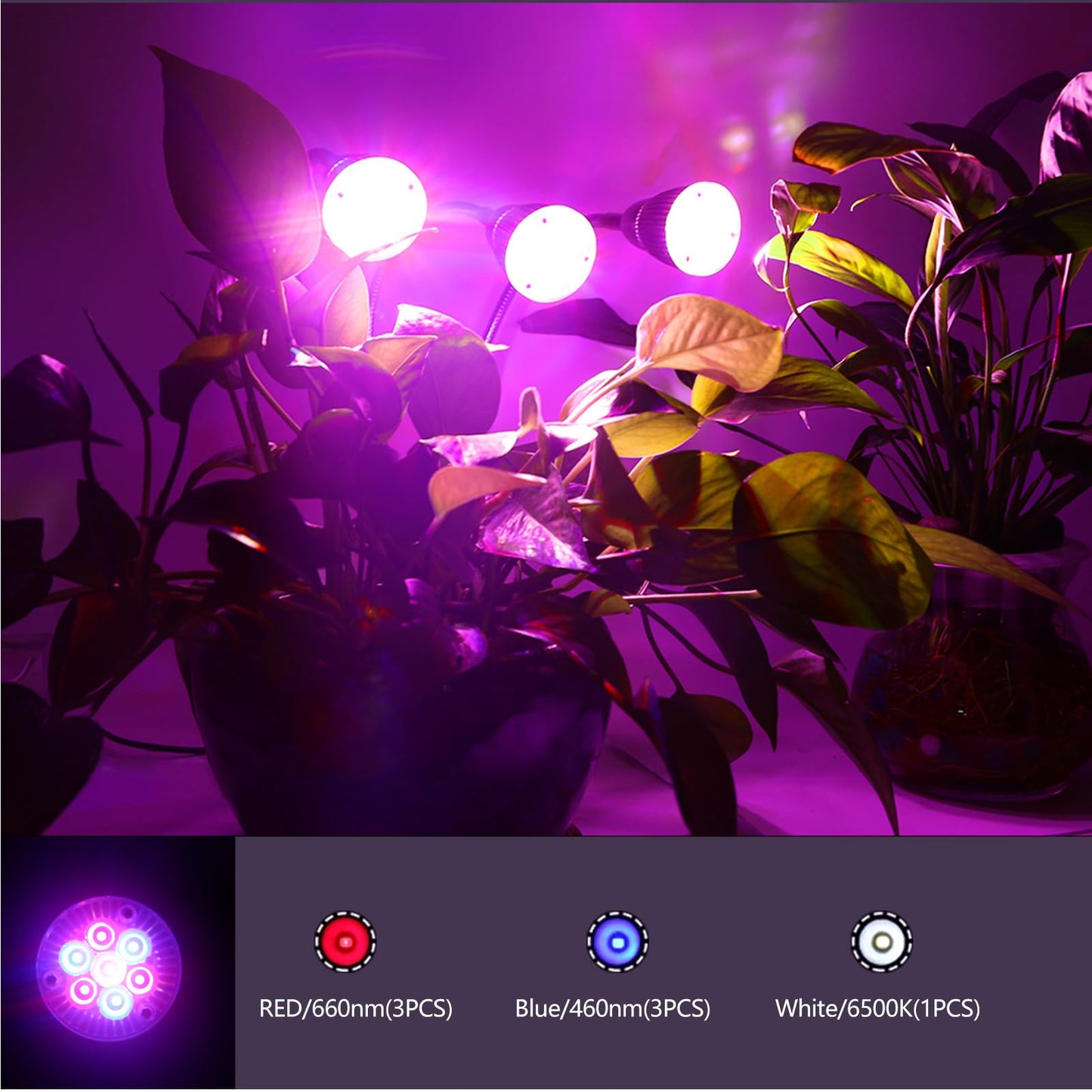 CFGROW Small Led Grow Light, Desk Clip LED Plant Grow Lamp 21W with 3pcs 360° Flexible Goosenecks for Indoor Office Home Garden Greenhouse Table Plants Growing Lighting