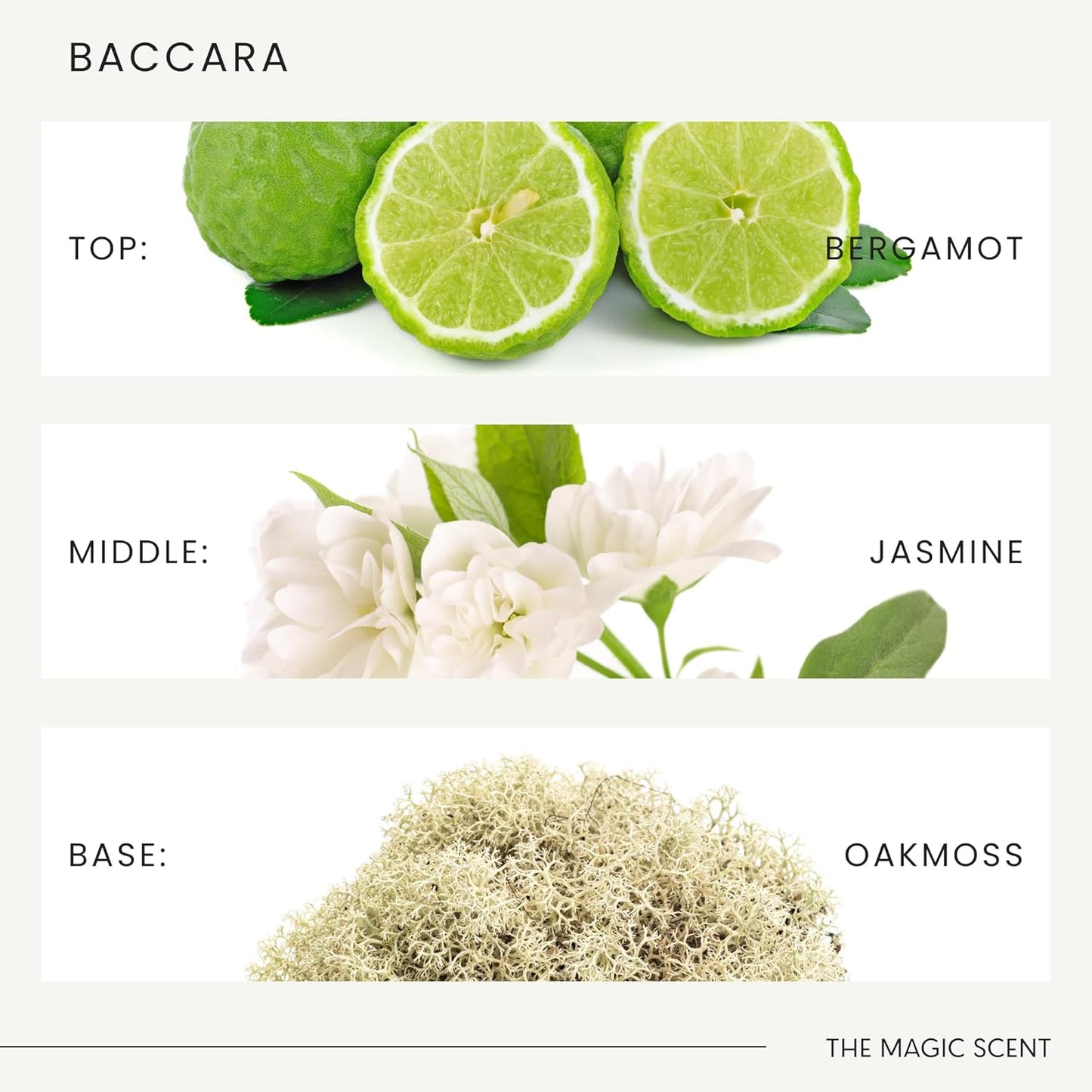 The Magic Scent Mandarin Blossom Diffuser Oil - Cold-Air & Ultrasonic Scented Oils for Diffuser Inspired by St. Regis Hotel, Maldives - Essentiala Oils for Diffusers Aromatherapy 10 ml