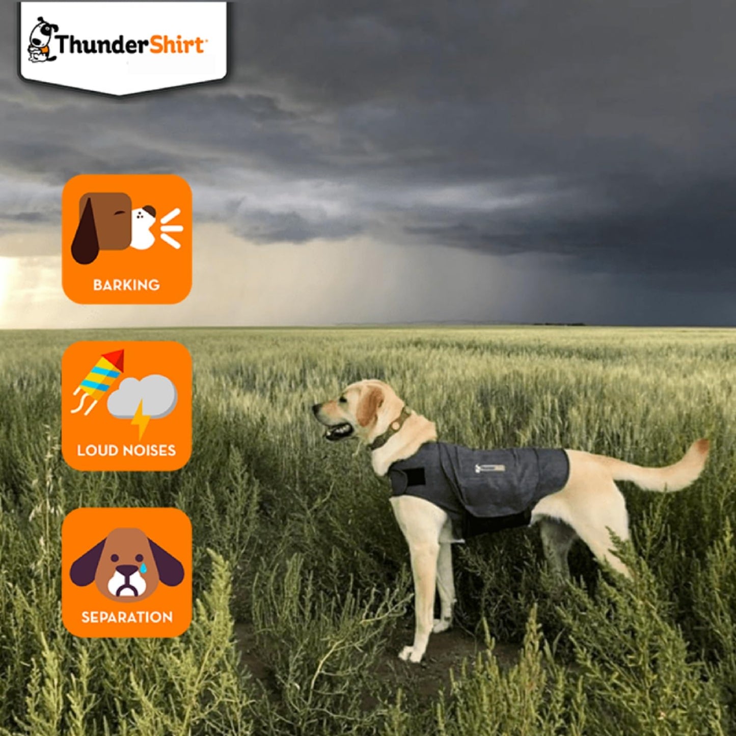 Thundershirt Anxiety Dog Shirt Heather Grey (Medium)
