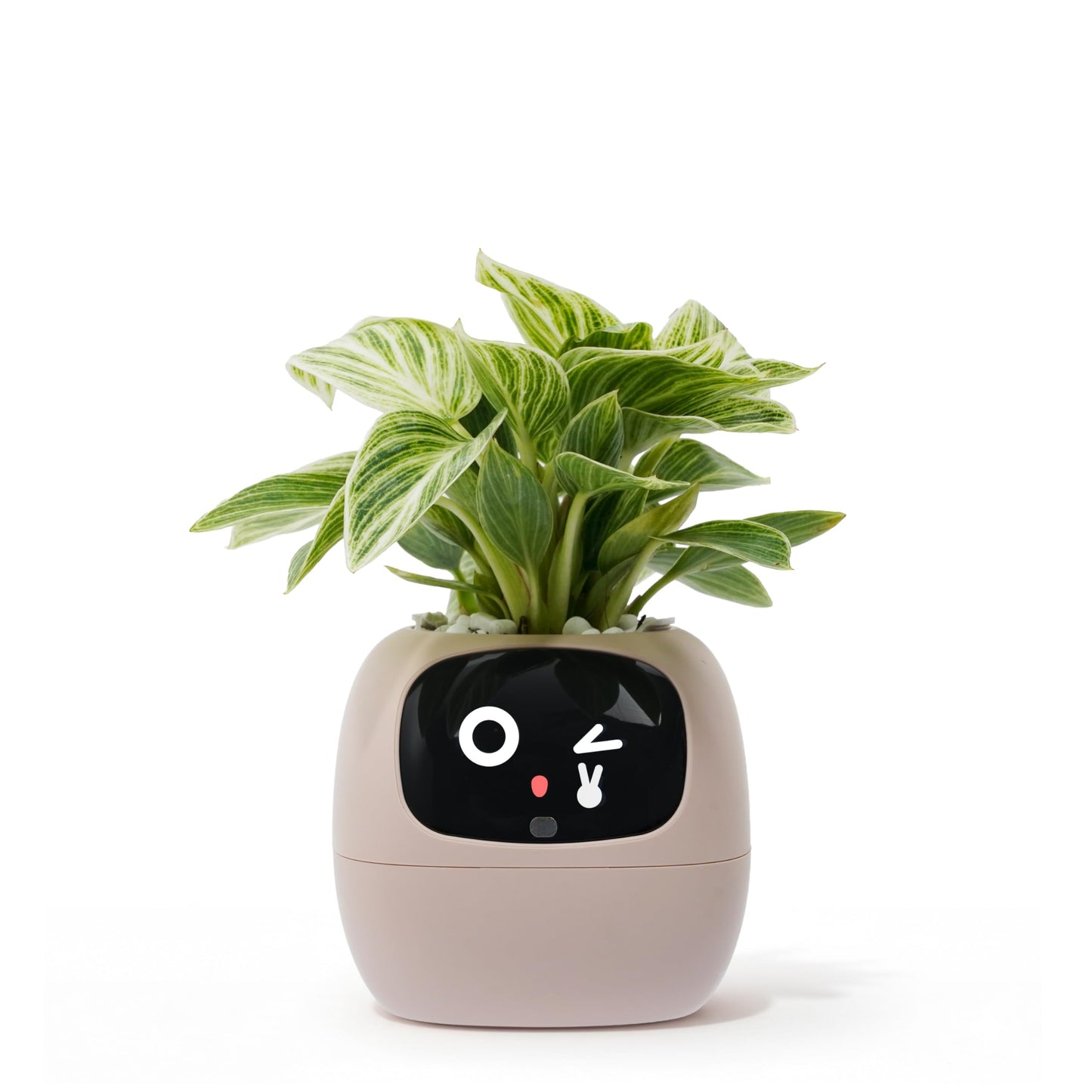 PLANTSIO Ivy AI Smart Planter Intelligent Flower Pot for Home Decoration Plants Companion Neat Desk Setup Gift Pet Planter Robot Guidance on Plant Care with Emojis (Pink)