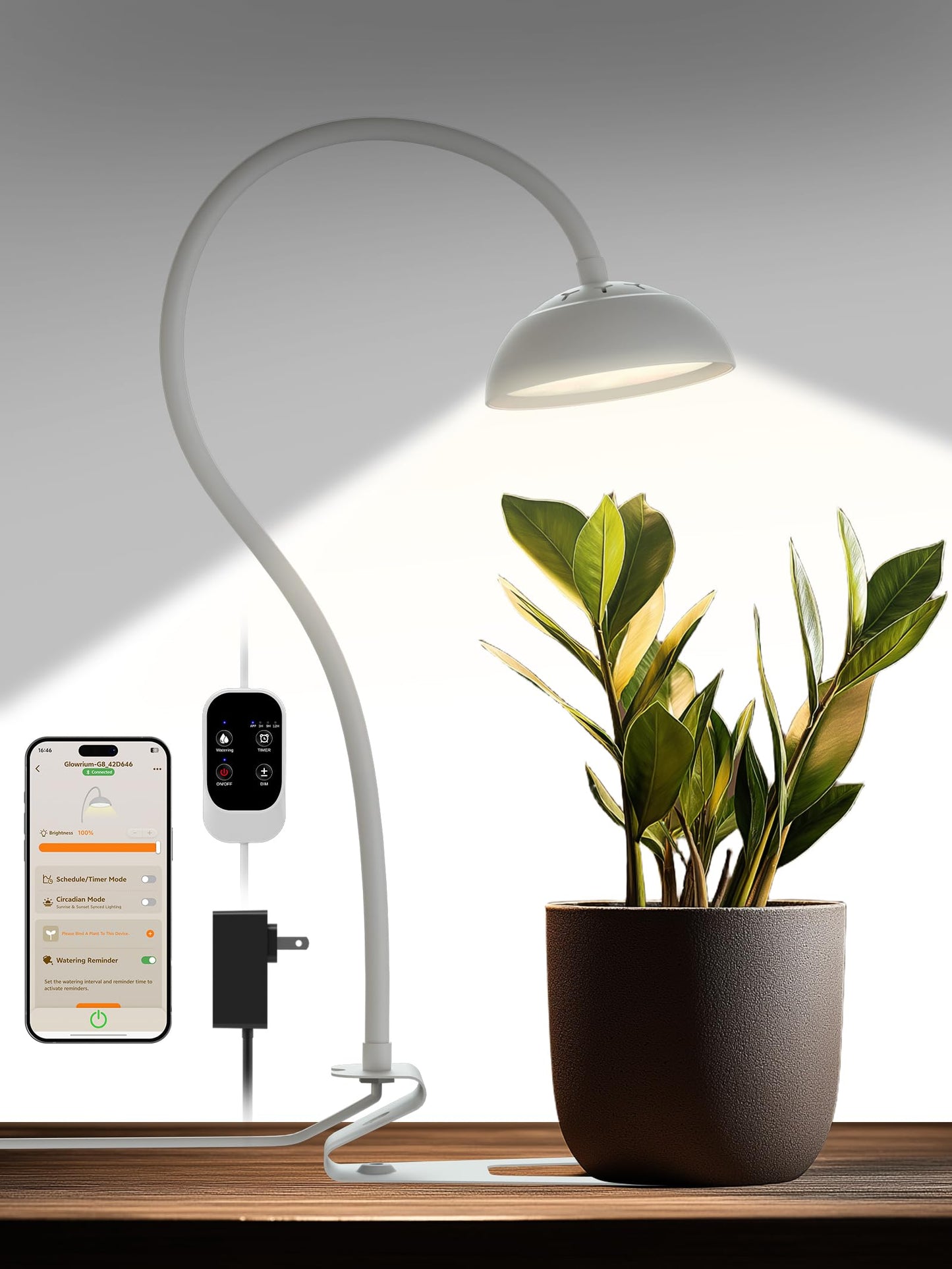 GLOWRIUM Smart Grow Lights for Indoor Plants,10W Full Spectrum LED Plant Light with 3/9/12 Timer,10 Dimmable Levels,Height Adjustable Grow Light with Base (White)