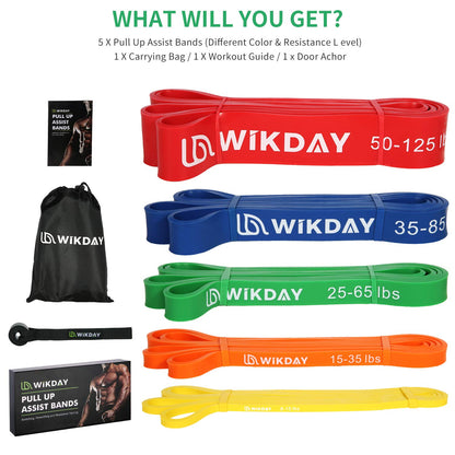 Resistance Bands, Pull Up Bands, Workout Bands for Exercise, Thick Heavy Resistance Band Set with Door Anchor, Elastic Bands for Body Stretching, Crossfit Training at Home/Gym Men & Women Women