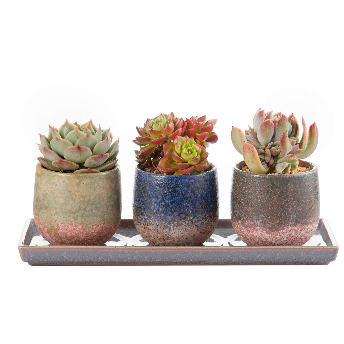 CEEFU 3 Inch Ceramic Succulent Planter Pot Planting Pot Flower Pots Small Planter Pots for Indoor/Outdoor Mini Plant, with Drain Hole and Ceramic Saucer