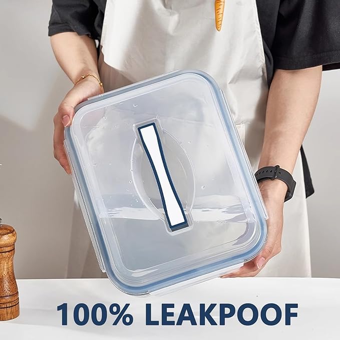Large Glass Storage Containers