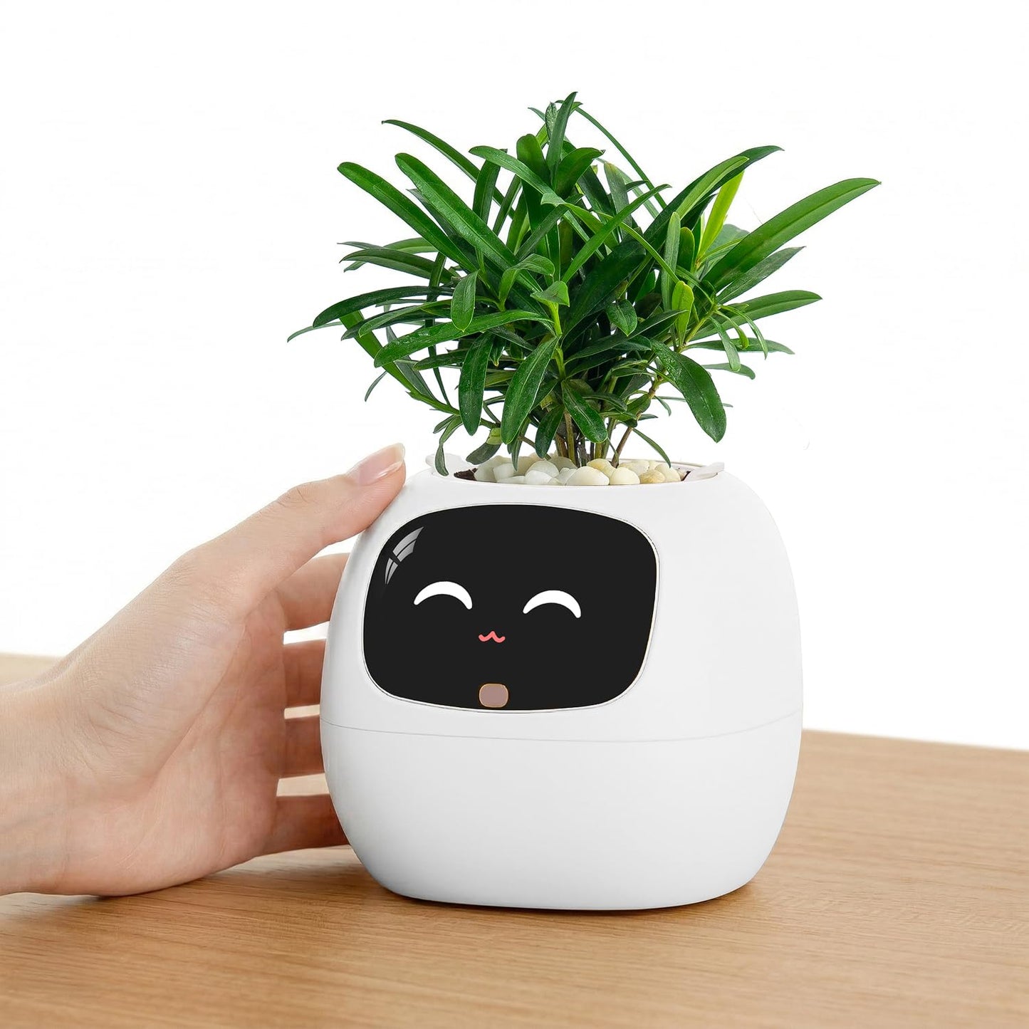 PLANTSIO Ivy Interactive AI Desk Companion, Smart Plant Pet with 100+ Expressions, Cute Indoor Planter for Office Decor, Unique Gift for Plant Lovers & Coworkers(Ivory)
