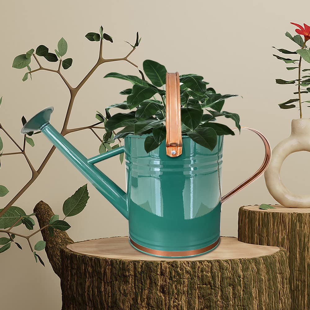 SunnyTong Metal Watering Can for Outdoor and Indoor Plants, Watering Can Decor, 1 Gallon (1 Gallon Green2)