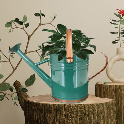 SunnyTong Metal Watering Can for Outdoor and Indoor Plants, Watering Can Decor, 1 Gallon (1 Gallon Green2)