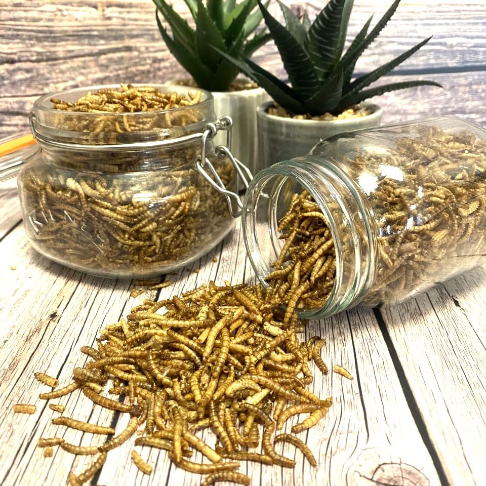 Dried Mealworms 2kg Premium Insectivorous Wild Bird Food