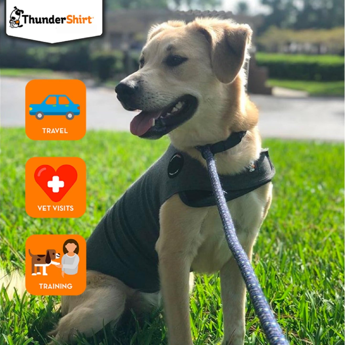 Thundershirt Anxiety Dog Shirt Heather Grey (Medium)