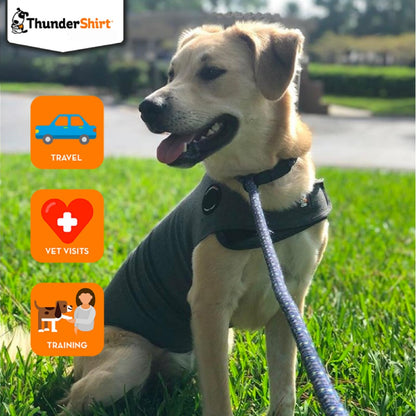 Thundershirt Anxiety Dog Shirt Heather Grey (Medium)