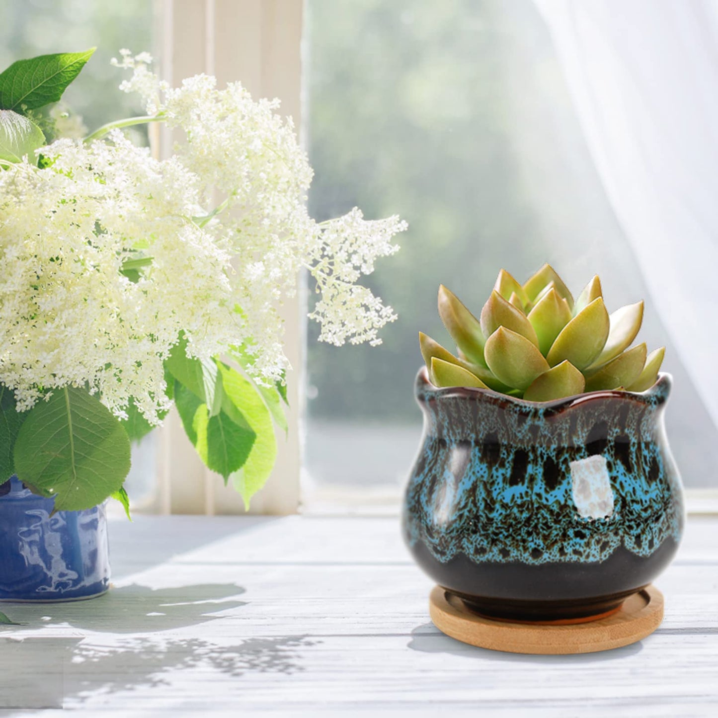 TOPZEA Set of 6 Succulent Plant Pots, 4 Inch Glazed Ceramic Cute Plant Pots with Drainage and Saucer, Mini Bonsai Planter Small Cactus Flower Pots for Indoor Outdoor Use