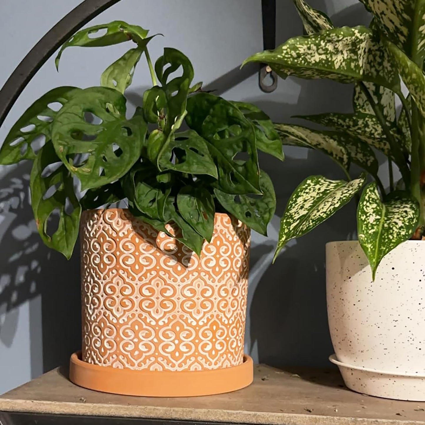Frcctre 2 Pack Terracotta Pots for Plants, 5 Inch Succulent Planter Pot with Drainage Hole and Saucer, Clay Pottery Pots for Indoor Plants, Cactus, Succulent, Herbs