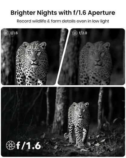 Misstech 4K UHD Solar Trail Camera for Game & Wildlife Monitoring - 0.1s Fast Activation to Record Animals, 64MP/4K Clear Night Vision, No Monthly Fee, App Control, IP66 Waterproof, 32GB SD Card