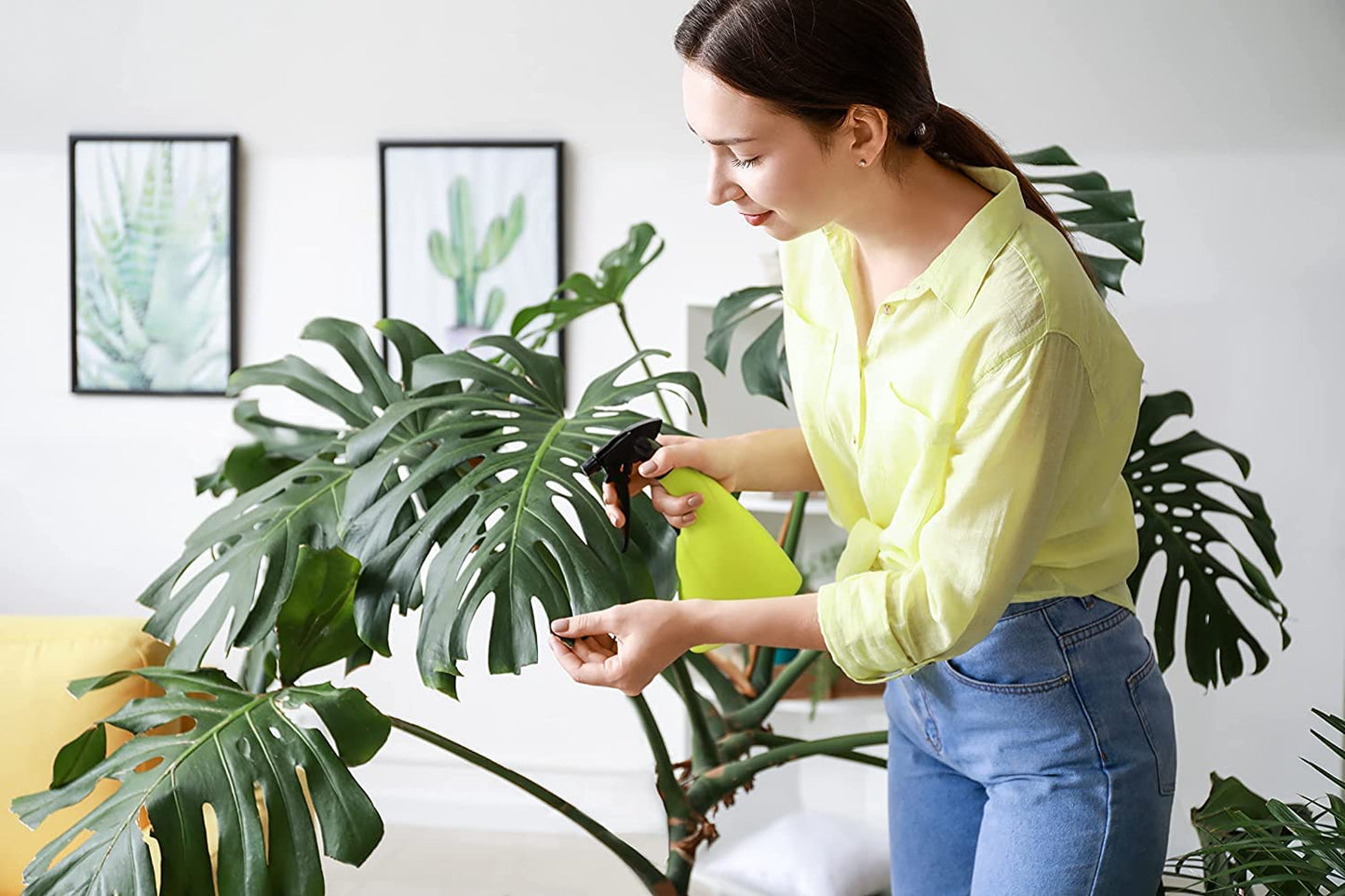 American Plant Exchange Monstera Deliciosa – Live 10-Inch Pot Split Leaf Plant, Large Statement Houseplant, Easy-Care Low-Maintenance Air Purifying Tropical Vine for Home, Office & Garden Décor