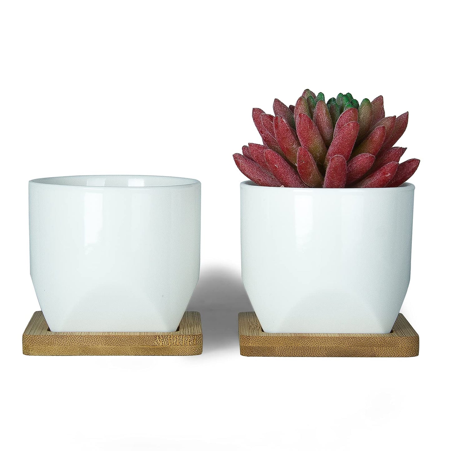 ARTKETTY Succulent Pots - 3 Inch Small Succulent Planter Pot with Drainage Trays Set of 6, Ceramic Planters for Indoor Plants Cactus Flower Plant for Home Office