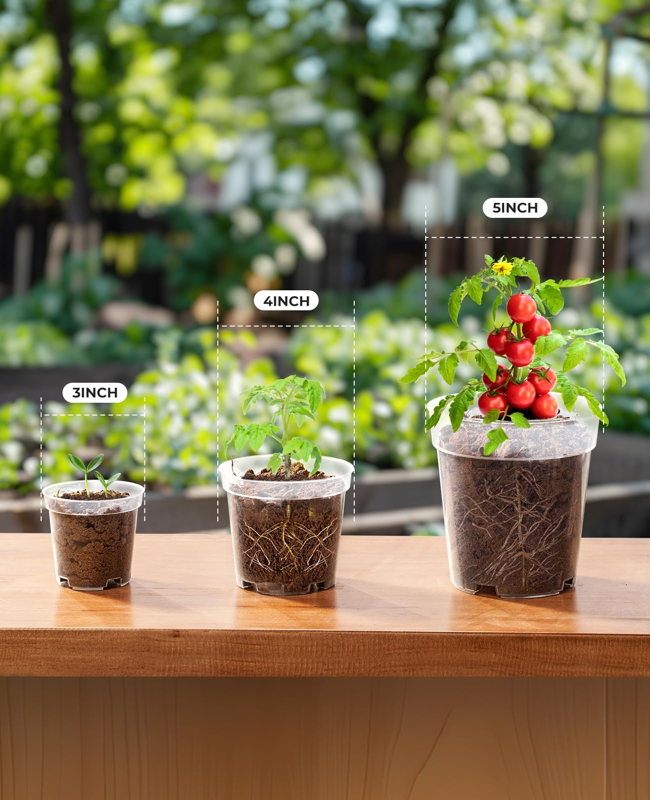 homenote Nursery Pots 30 Pack,3/4/5 Inch Plant Pot for Planting, Clear Nursery Pots for Plant,Plastic Seedling with Drainage Holes Seed Starter Flower High Transparency 20 Labels Excellent Hardness