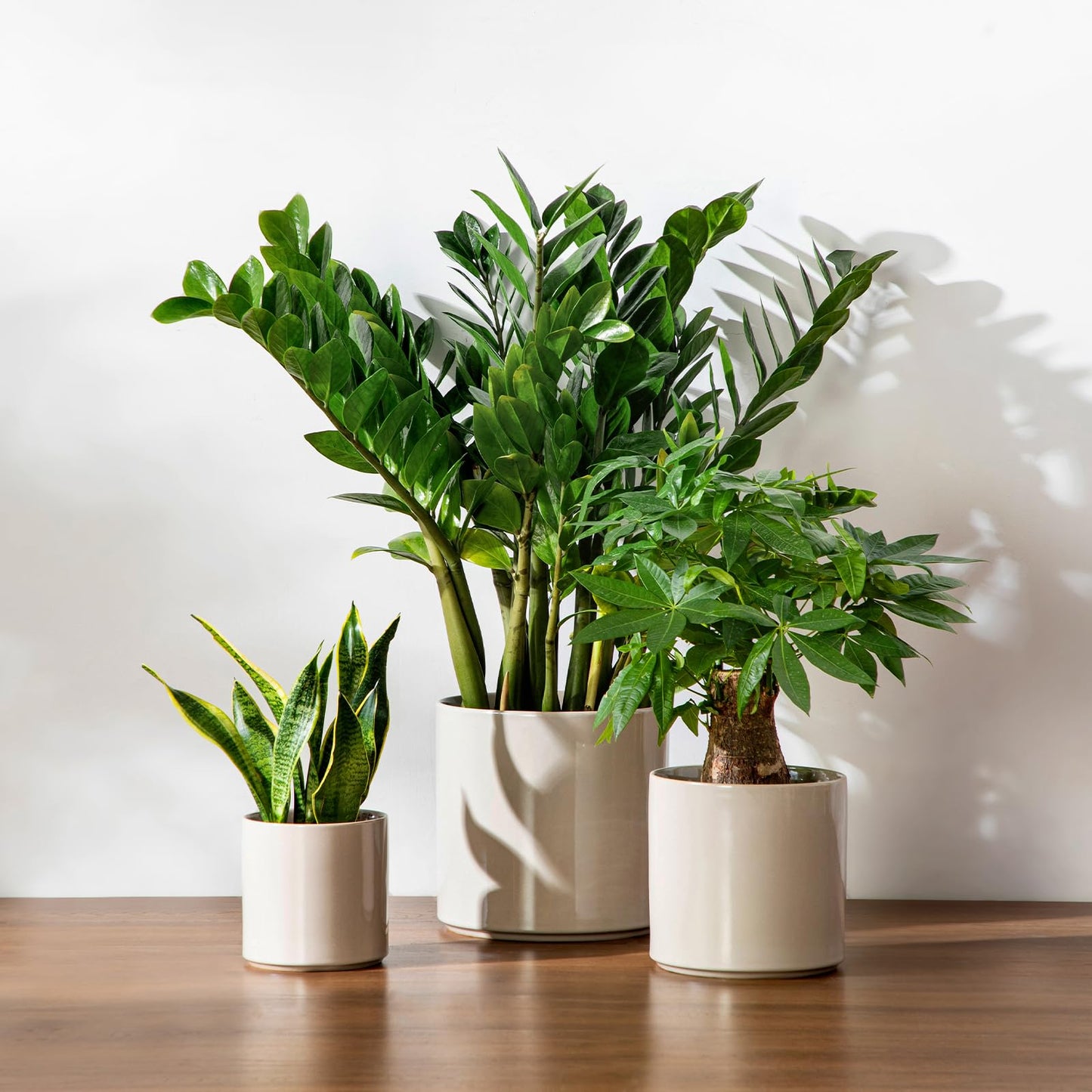 vancasso 6"+8"+10" Ceramic Pot for Plants, Large Outdoor Indoor Planter Pots with Drainage Holes, Set of 3, Grey