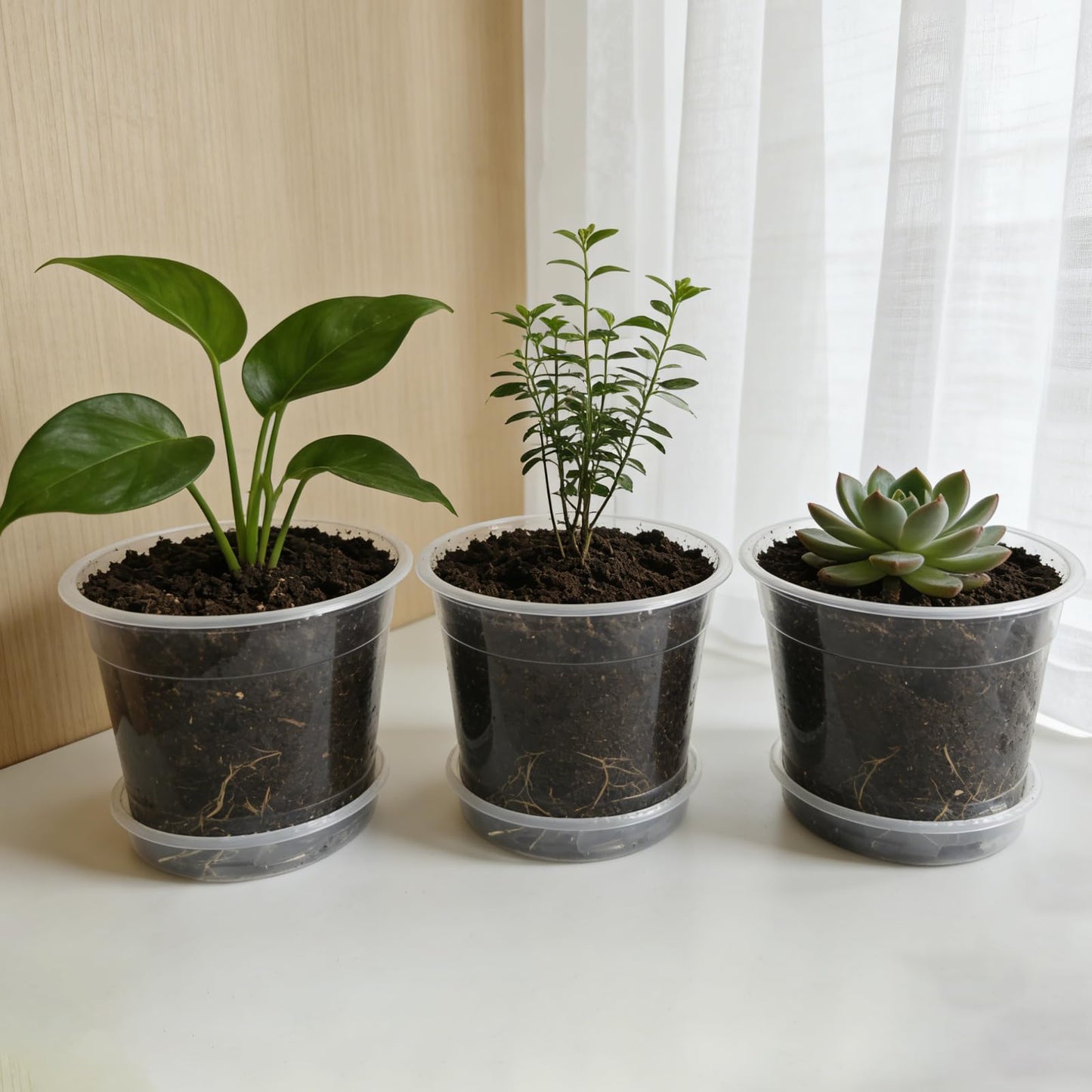 Tuphuv 25 Packs 3/4/5/6/7 Inch Clear Nursery Pots with Drainage Holes & Saucers, Transparent Plastic Plant Pots Variety Pack for Seed Starting, Succulents, Flowers, Herbs, with 25 Plant Labels