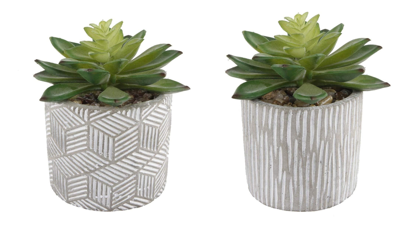 Flora Bunda Mid Century Artificial Plants Cactus Set of 2 Artificial Succulent in 3" Cement Pot Grey Planter, 2 Fake Potted Plants, for Home Office Decorations