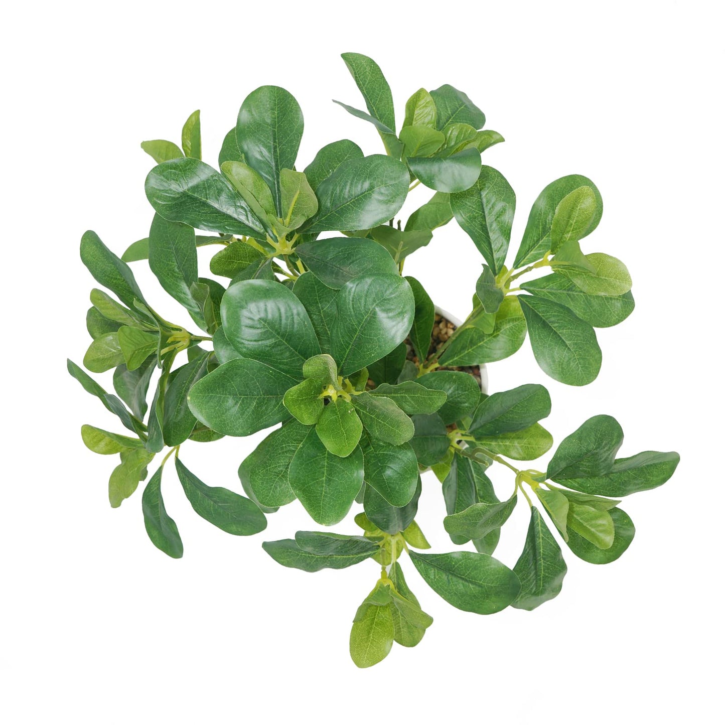 Hisow Artificial Potted Plant Leaves, 16.9" Artificial Shrubs Plants Arrangements Fake Eucalyptus Leaves with Vase Faux Greenery Leaf for Home Garden Table Centrepieces Indoor Décor
