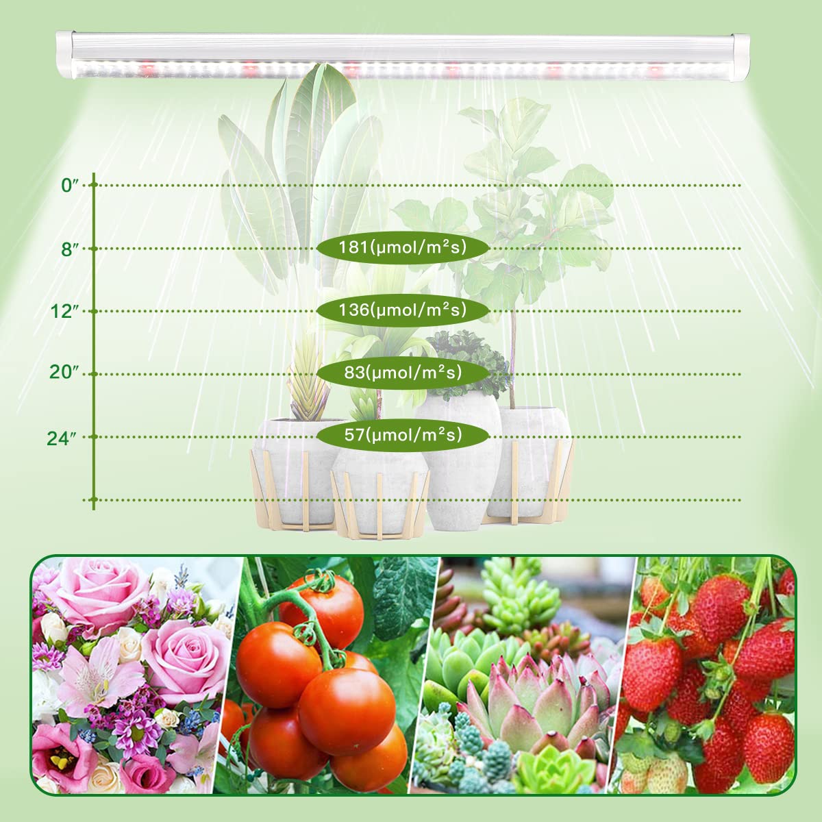 GYTF T5 LED Grow Lights, 1.4Ft 5000K Full Spectrum White Grow Lights for Indoor Plants Strip, Greenhouse Succulent Seed Starting, End-to-End Design