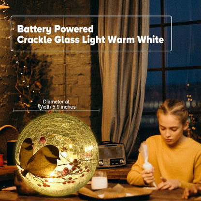 Glass Ball Light Birds Pattern Crackle Warm White Night Lamp for Bedroom Living-Room Dresser Nursery Kitchen Garden Modern Decoration Craft