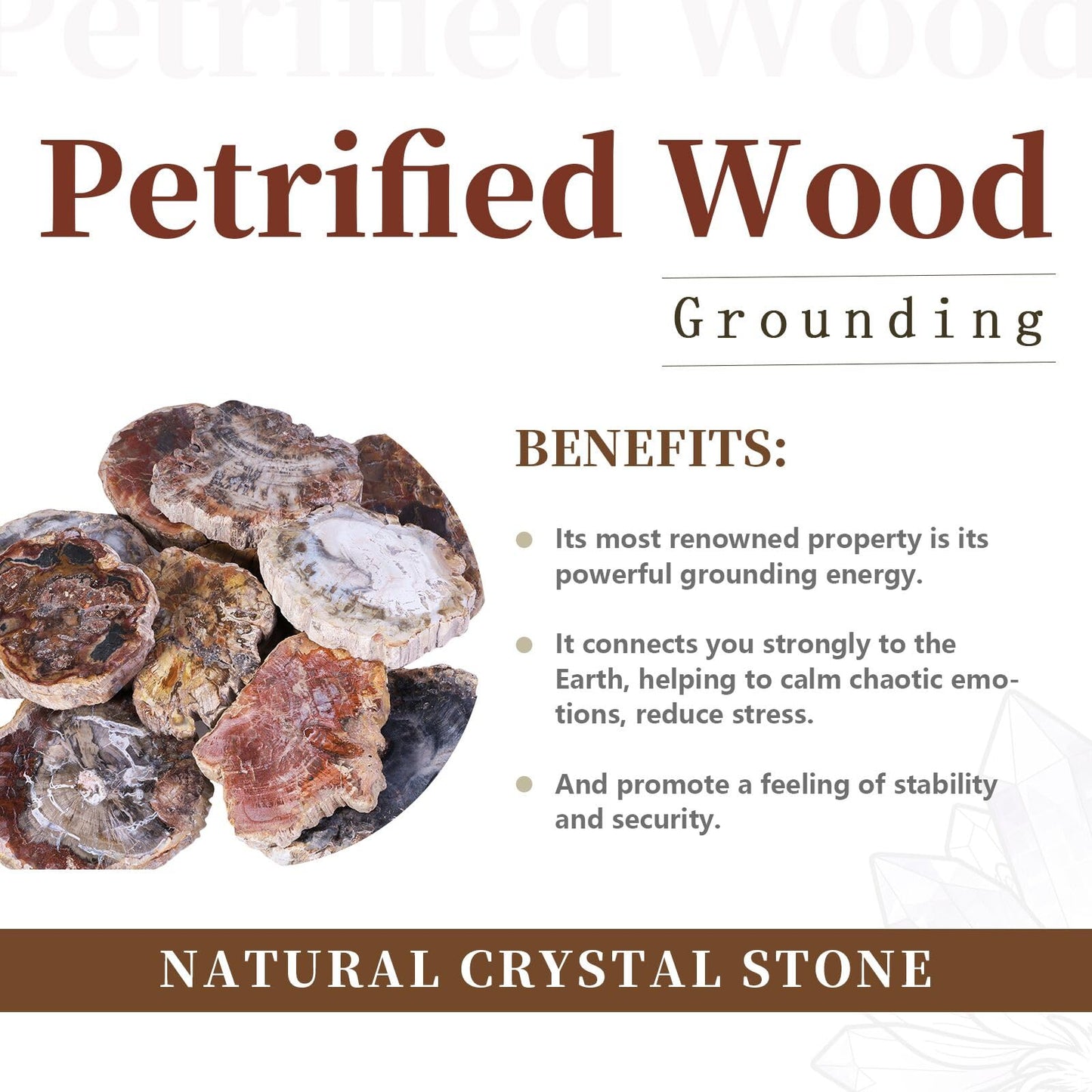 Rockcloud 1.5-3" Natural Irregular Petrified Wood Stones Chakra Healing Stone Specimen Pack of 5