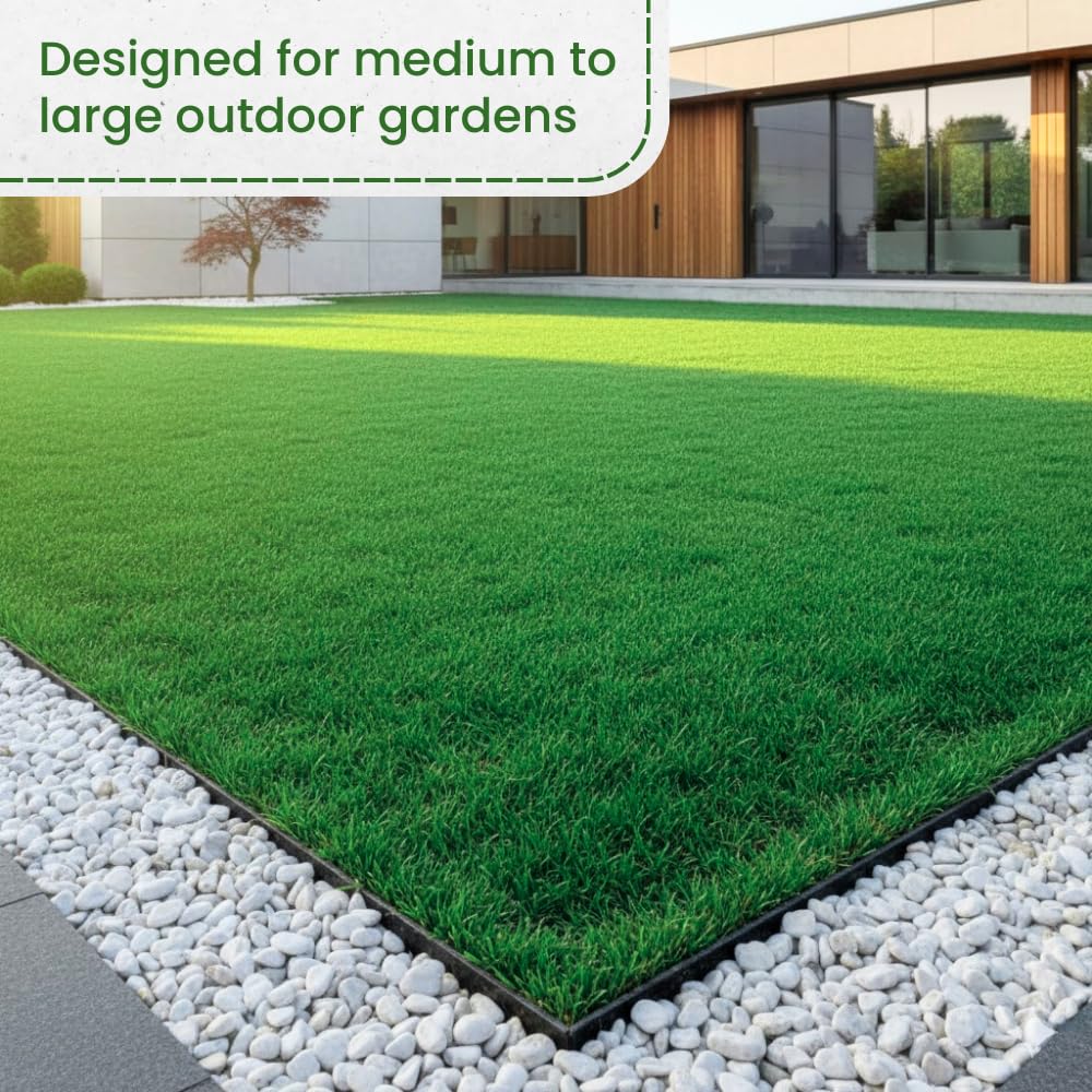 Set 20000 Emerald Zoysia Grass Seeds, Zoysia Grass Seeds for Lawn, Dense Green Grasses for Front Yard, Backyards, Ground Cover and Landscape