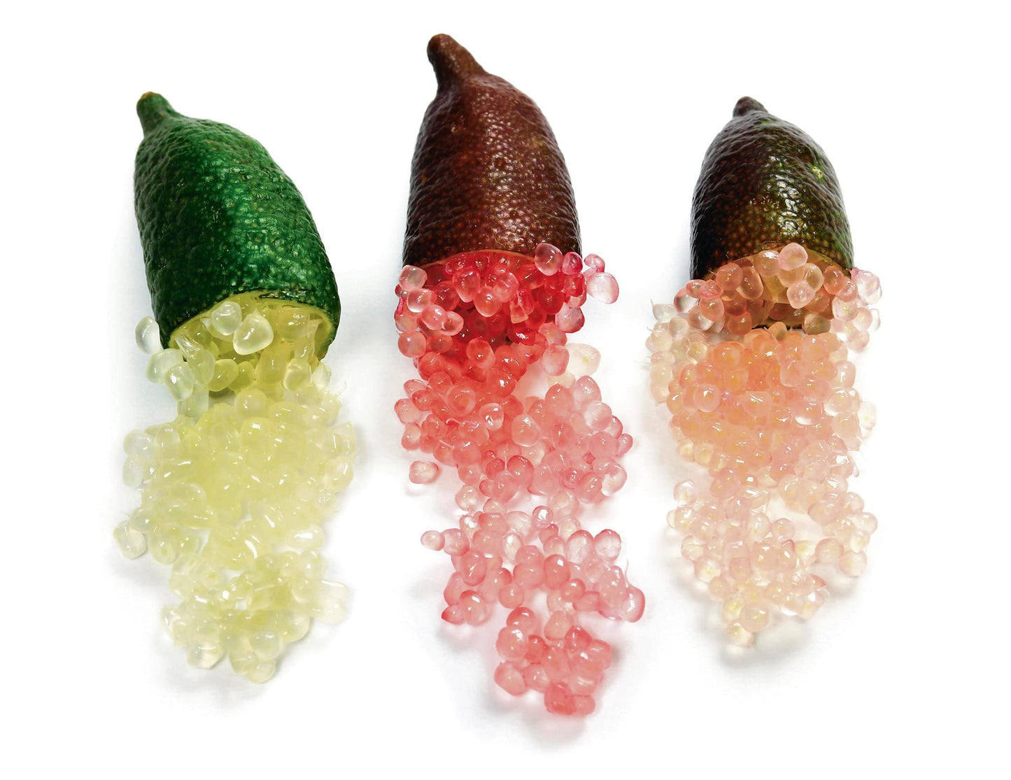 New Fresh 80pcs Finger Lime Fruit Seeds Generic
