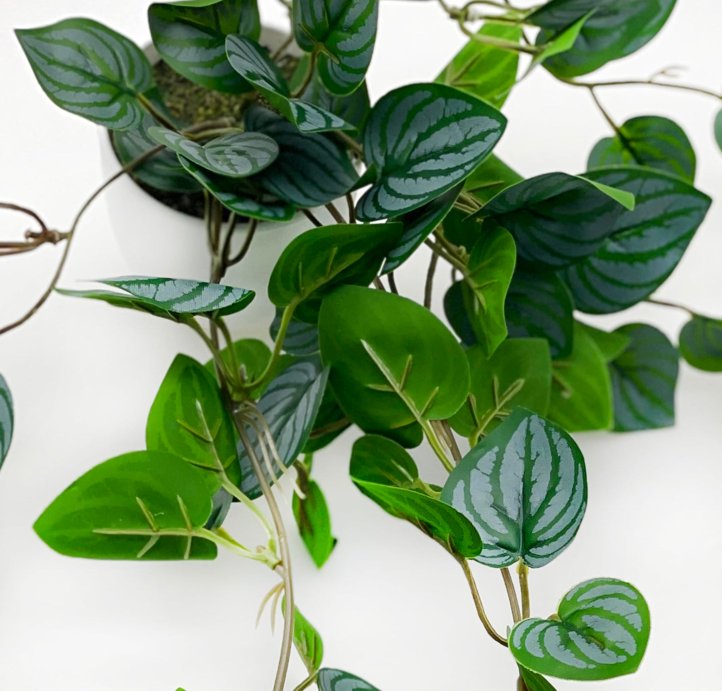 Kiko Artificial Plant Trailing with Pot 16.5" (42cm) Long Fake Table Plant for Office, Gymnasium Room, Living Room, Dinner Room, and Home Decoration, Artificial Plant for Indoors.