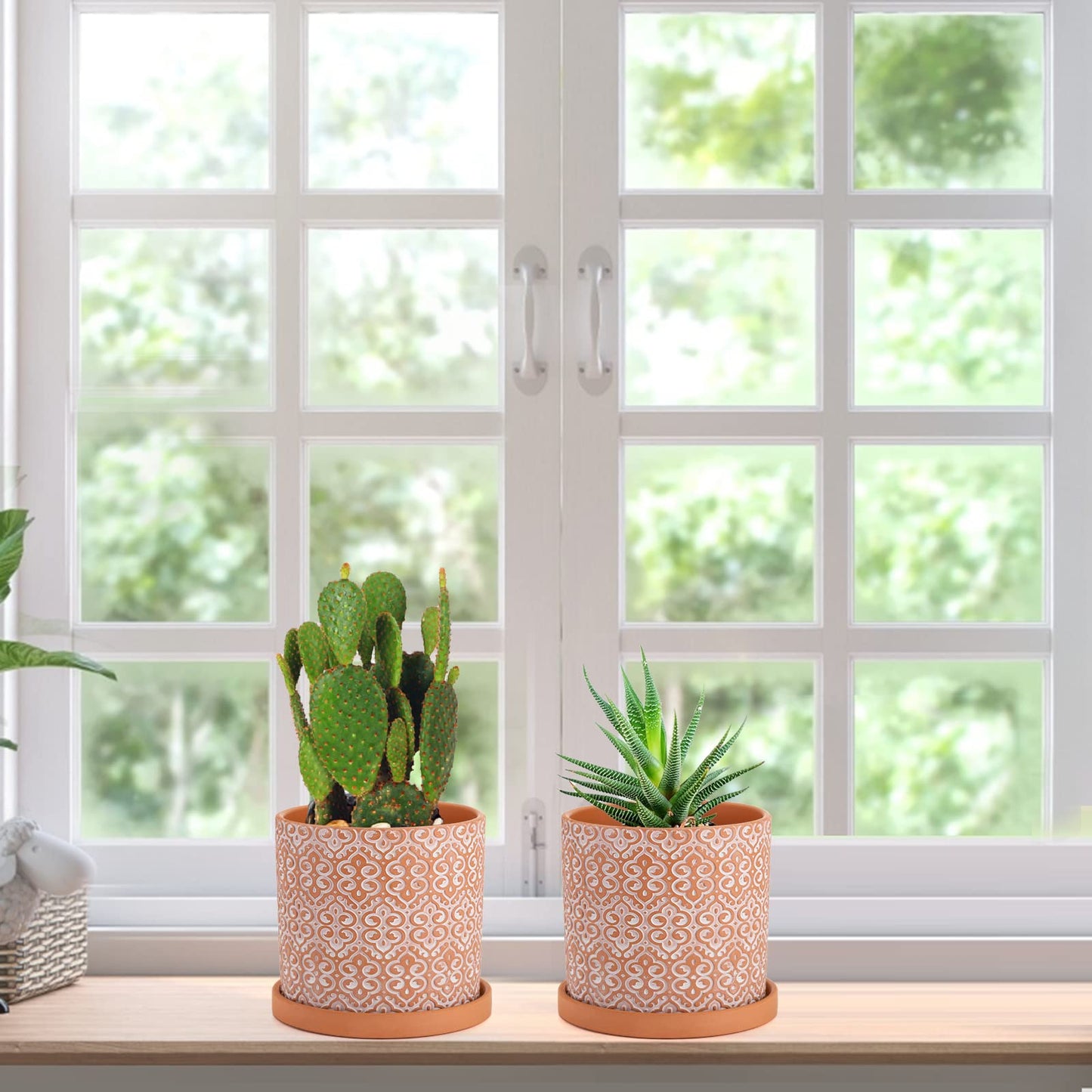Frcctre 2 Pack Terracotta Pots for Plants, 5 Inch Succulent Planter Pot with Drainage Hole and Saucer, Clay Pottery Pots for Indoor Plants, Cactus, Succulent, Herbs